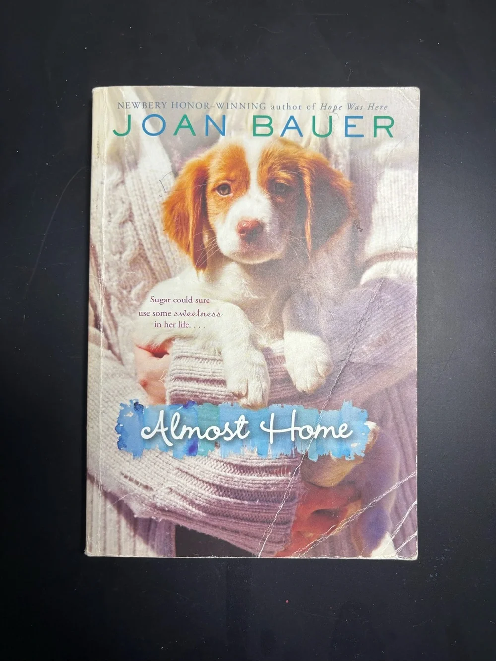 Almost Home Hardcover Book - White/Brown Cover